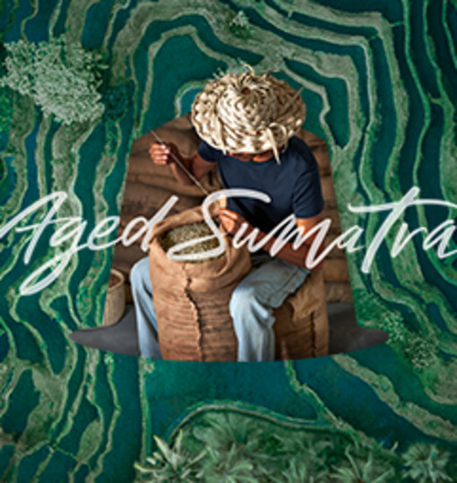 Limited Edition: Master Origin Aged Sumatra