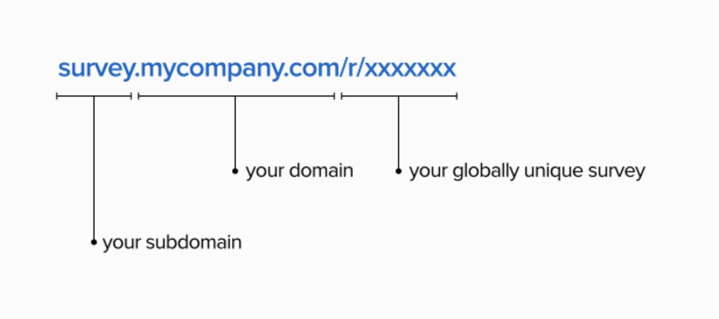 custom domain and subdomain survey.mycompany.com/r/xxxxxxx