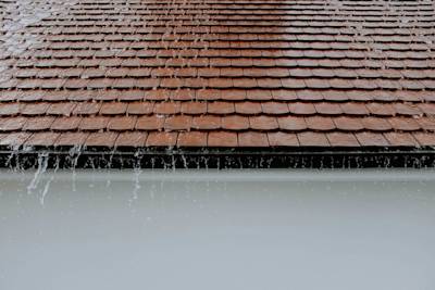 Choosing the Right Roof for Your Climate