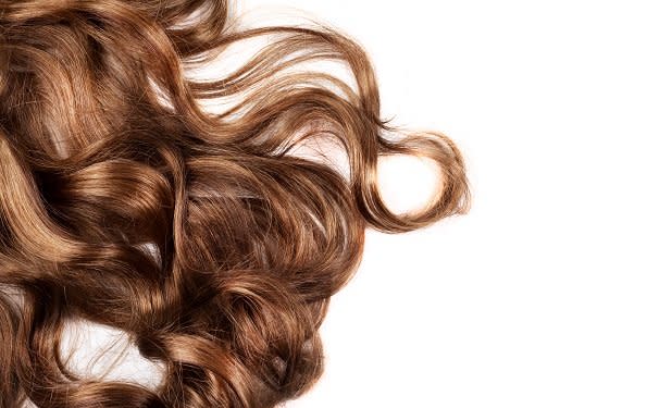 human brown hair on white isolated background healthy hair