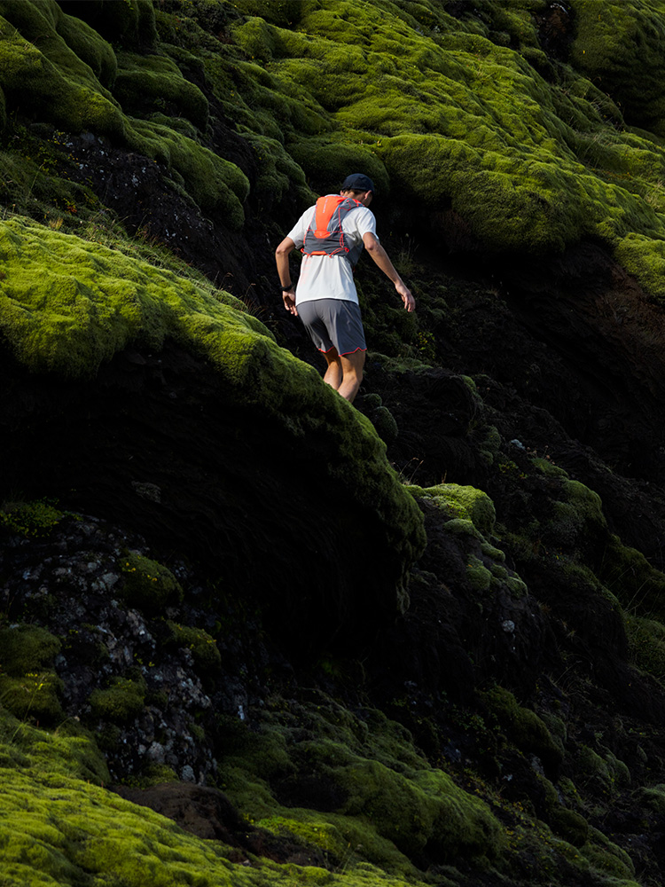 Frühlingslauf Desktop