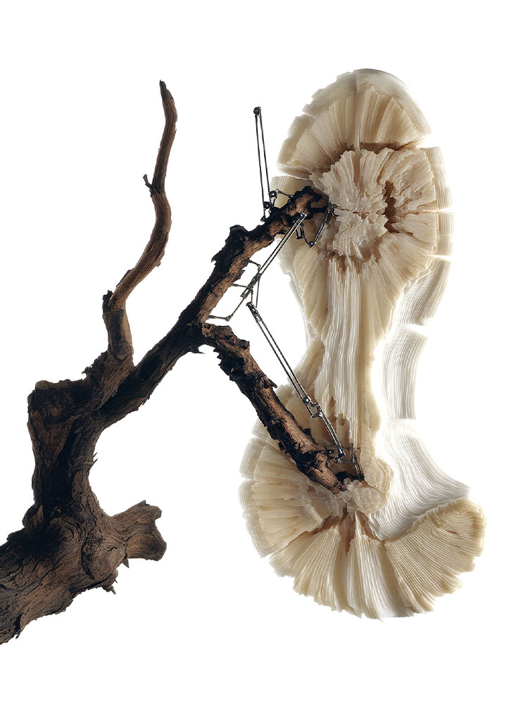 Rebecca Kennedy x Salomon