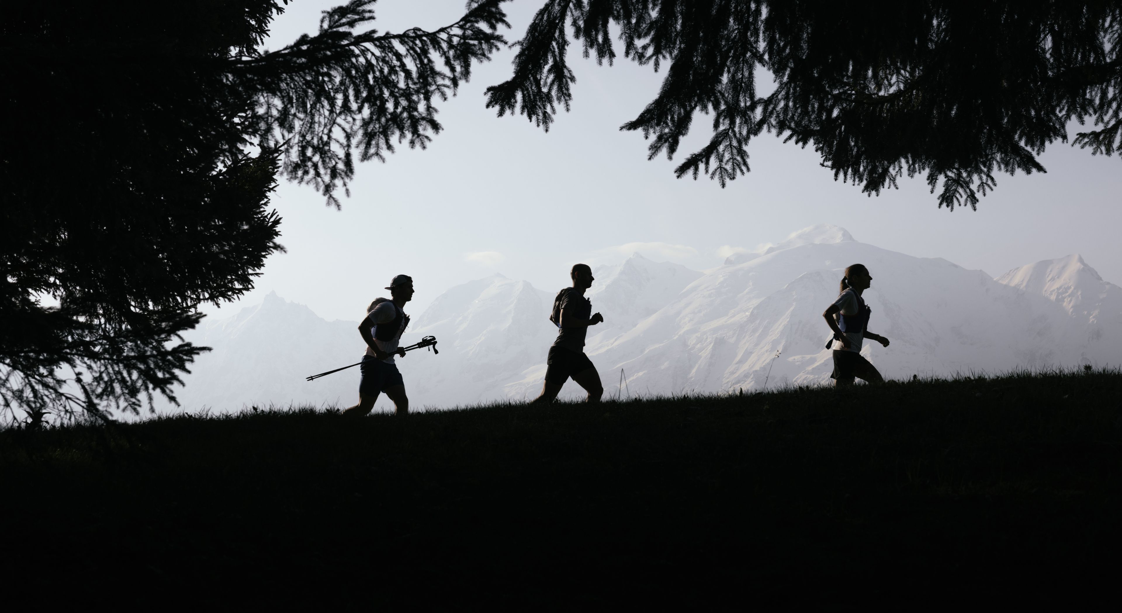 Trail Evergreen