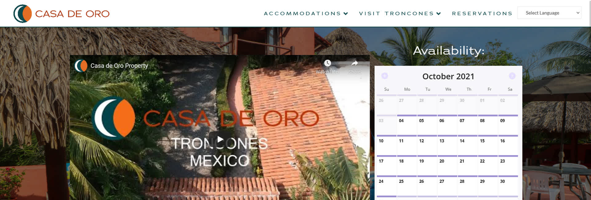 Casa de Oro Website Project