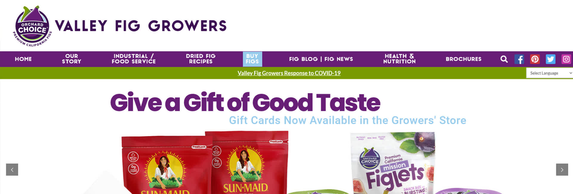 Valley Fig Growers Website Project