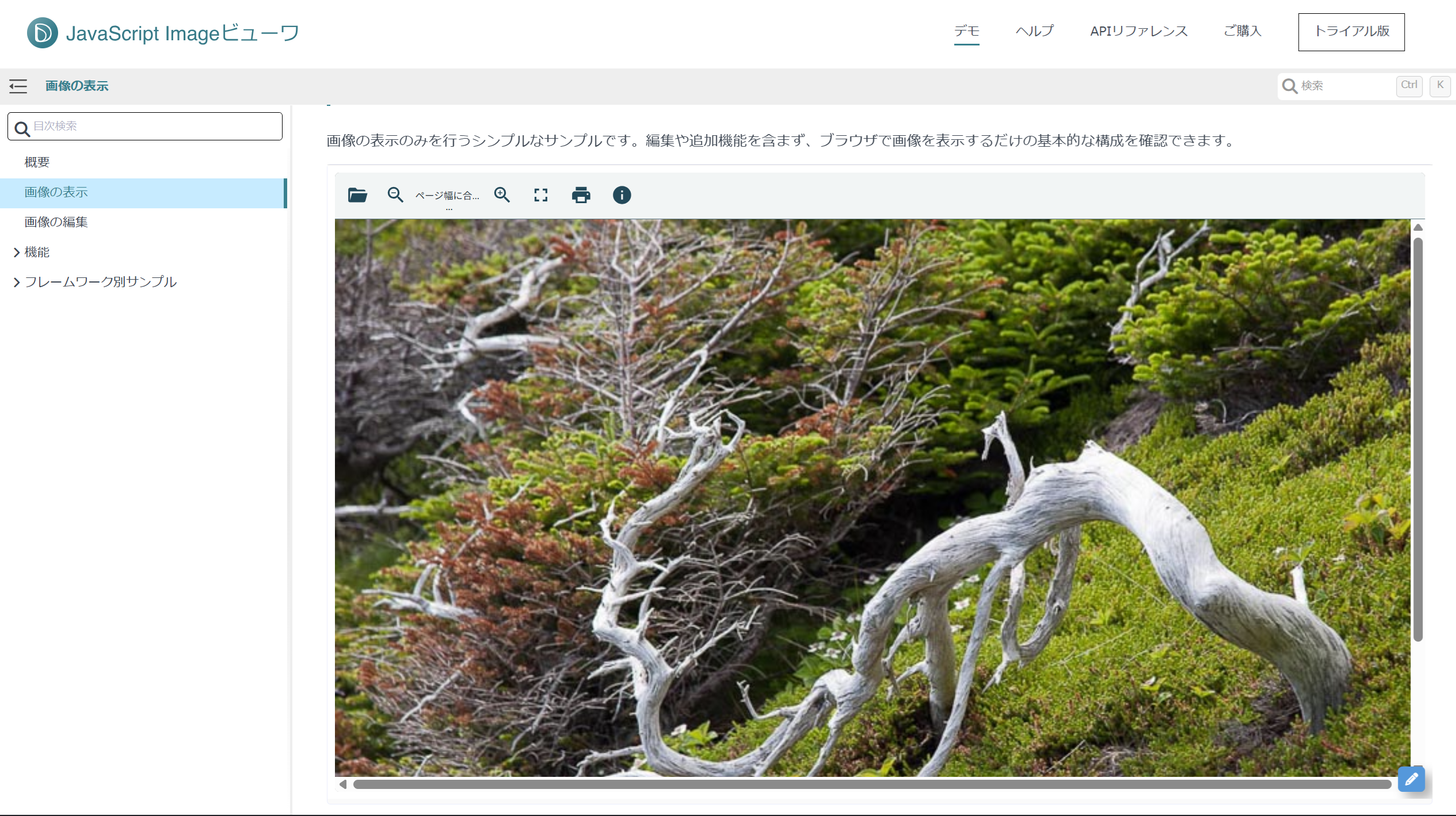 DioDocs for Imaging(Imageビューワ)