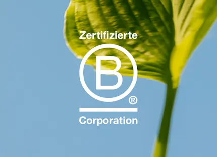Zertifizierte B Corporation-Logo auf einem grünen Blatt
