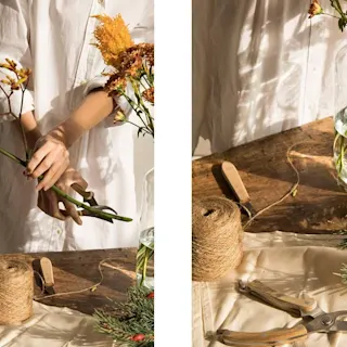 How to cut stems — the right way!