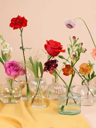 Floriographie: So sagst du's mit Blumen