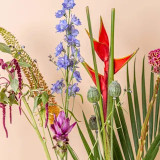 The 2019 summer flower guide: what’s in your bouquet?