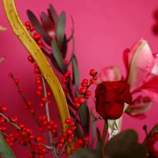 De mooiste winterbloemen: steel de show met deze beauties