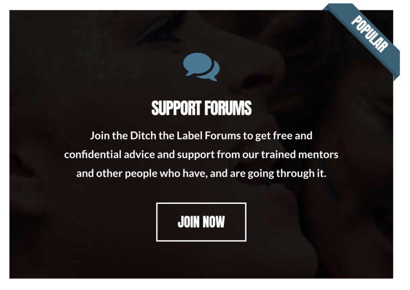 Screenshot of call-to-action image to join Ditch the Label support forums
