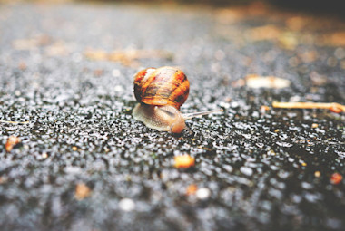 Having a summer slow down heres 5 ways to turn it around