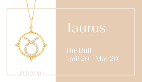 Taurus - The Bull
