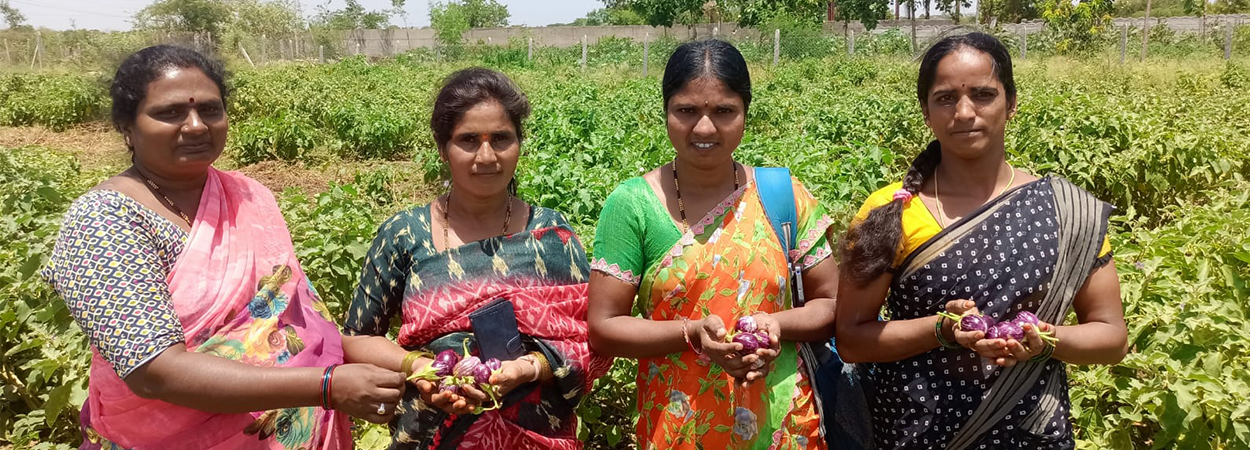 Women at the Collective good foundation on a farm in India 