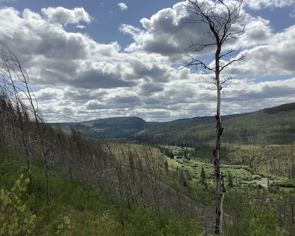 Photo of Canadian landscape