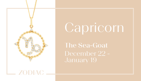 Capricorn - The Sea-Goat