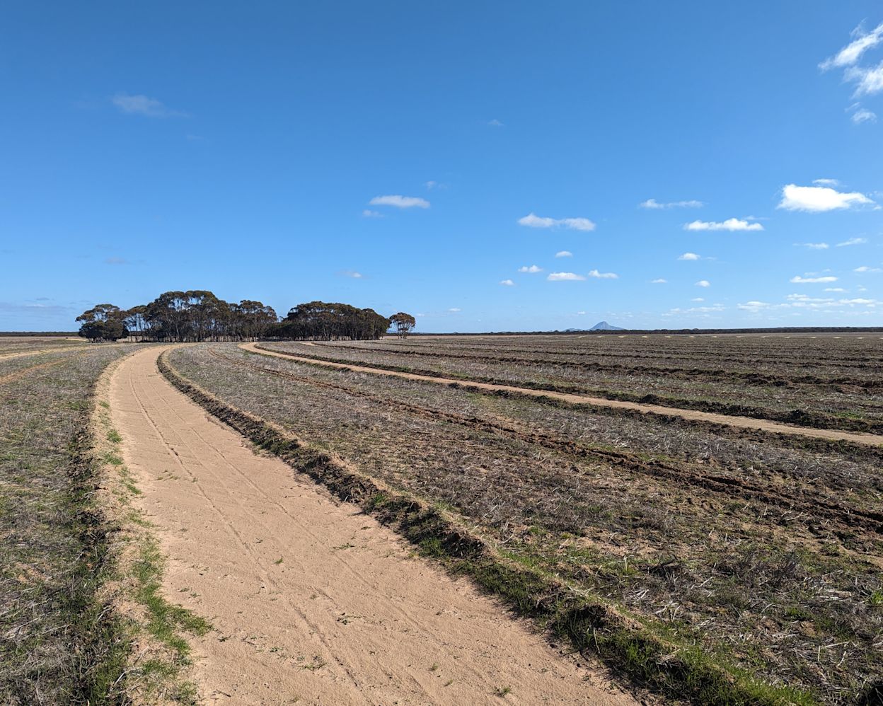 Photo of Australian landscape