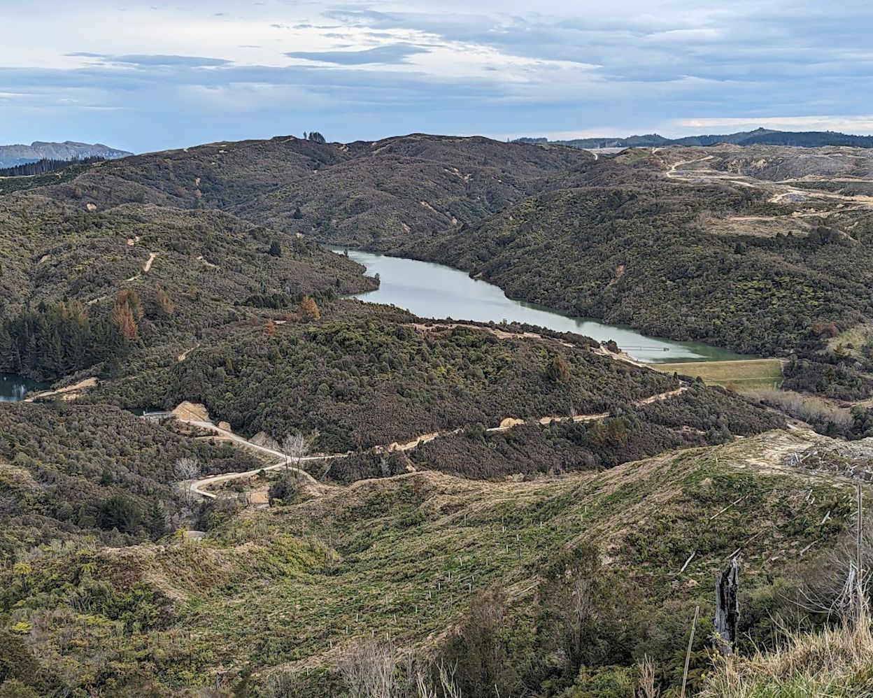 Photo of New Zealand landscape