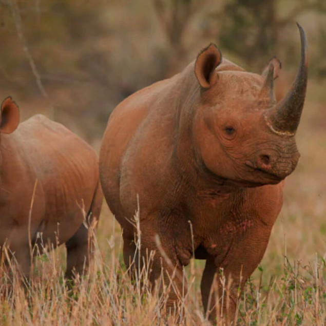 GLOBAL - APR24 - DIAMONDS LP- 3up - USPs 1 - De Beers Origin - Rebrand