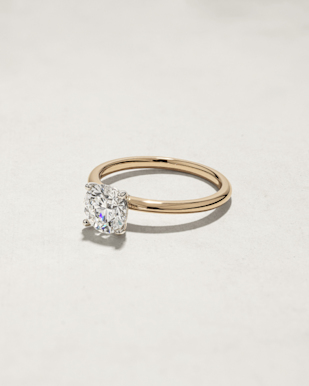 Image - Education Centre LP - Care & Maintenance - Diamond Warranty