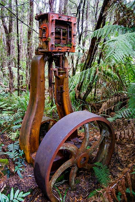 Photograph of abandoned mining equipment surrounded by native forest. Originally used by the Montezuma Silver Mining Company that was formed in 1891.