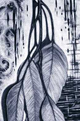 Original A2 charcoal drawings inspired by nature.