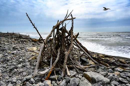 Photograph of a bonfire ready stack of driftwood on a deserted beach.