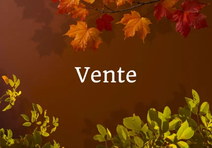 Vente-mobile