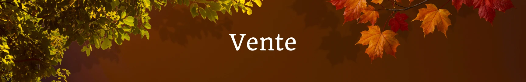 Vente