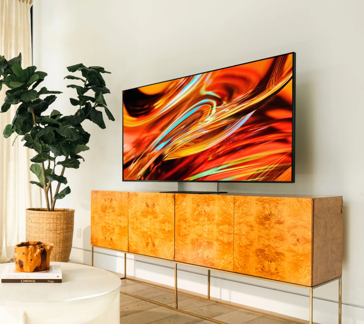 BRAVIA-RGB-TV