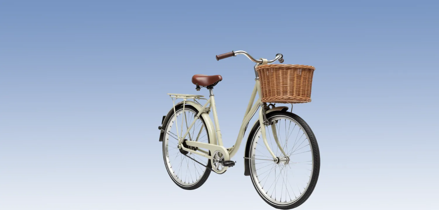 Fietsmand voor je hond: waar moet je op letten?