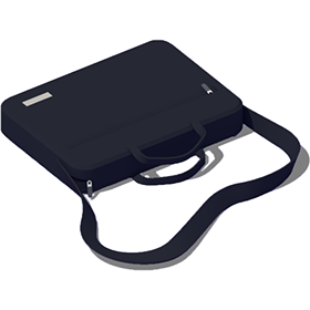 Brief case illustration