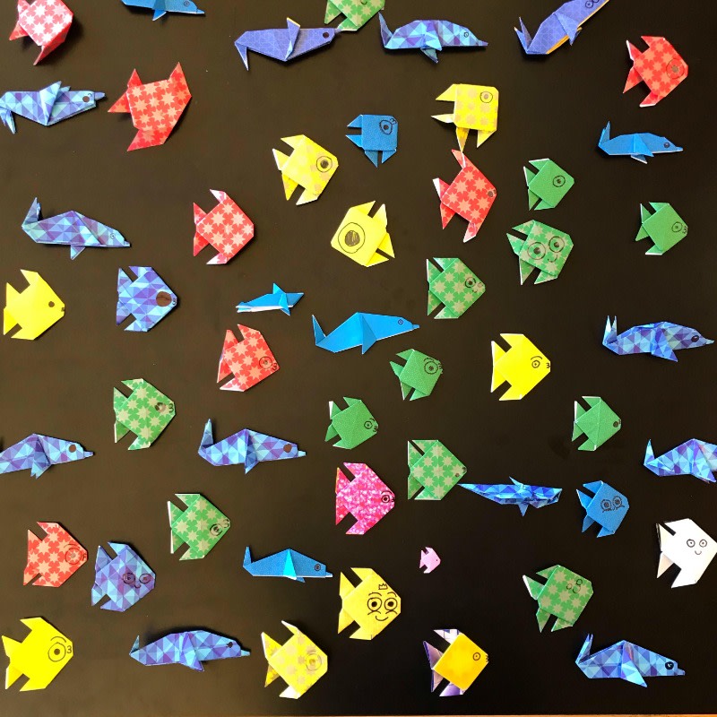 These colorful origami fish were created by the SEM Surfers team of San Elijo Middle School in San Marcos, California. Together, this team has already submitted 589 sea creatures raising over $1,000 for ocean conservation.