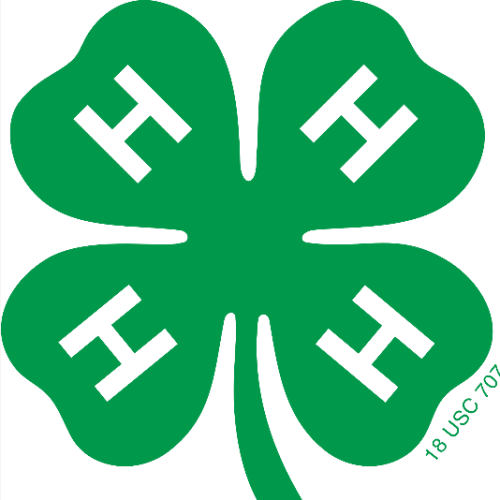 Logotipo 4-H Nuevo