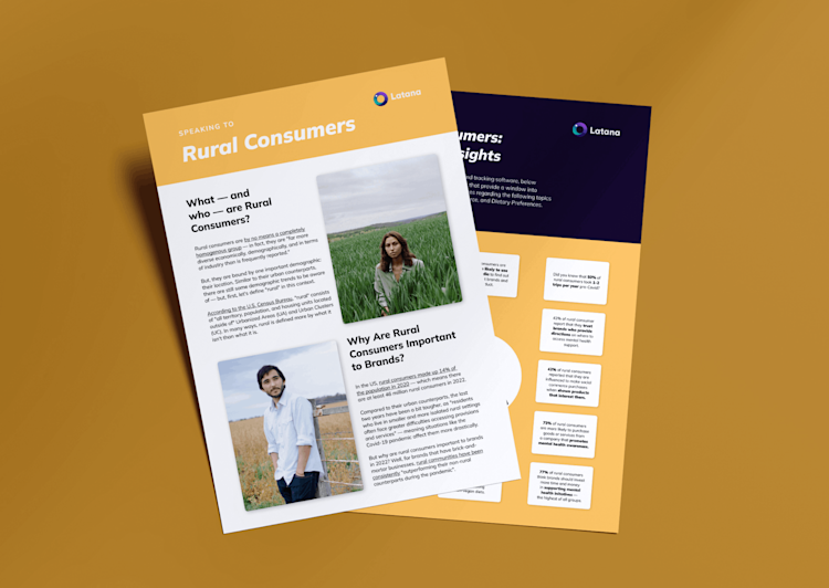 Rural Consumers SEO thumbnail