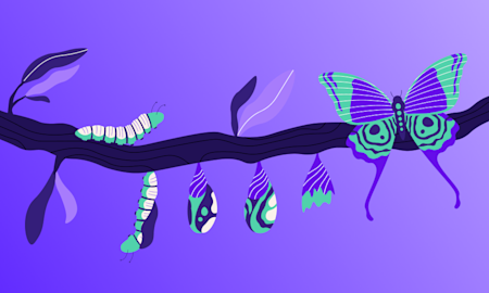 3 Brands that changes product offering - image of butterfly emerging from cocoon.