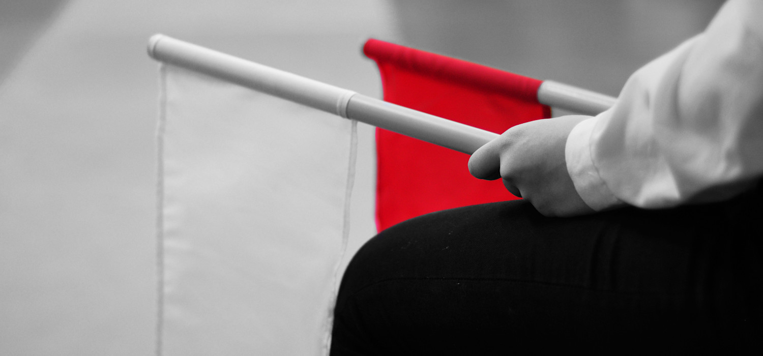 GAP Website LIS Schiedsverein Bild 2