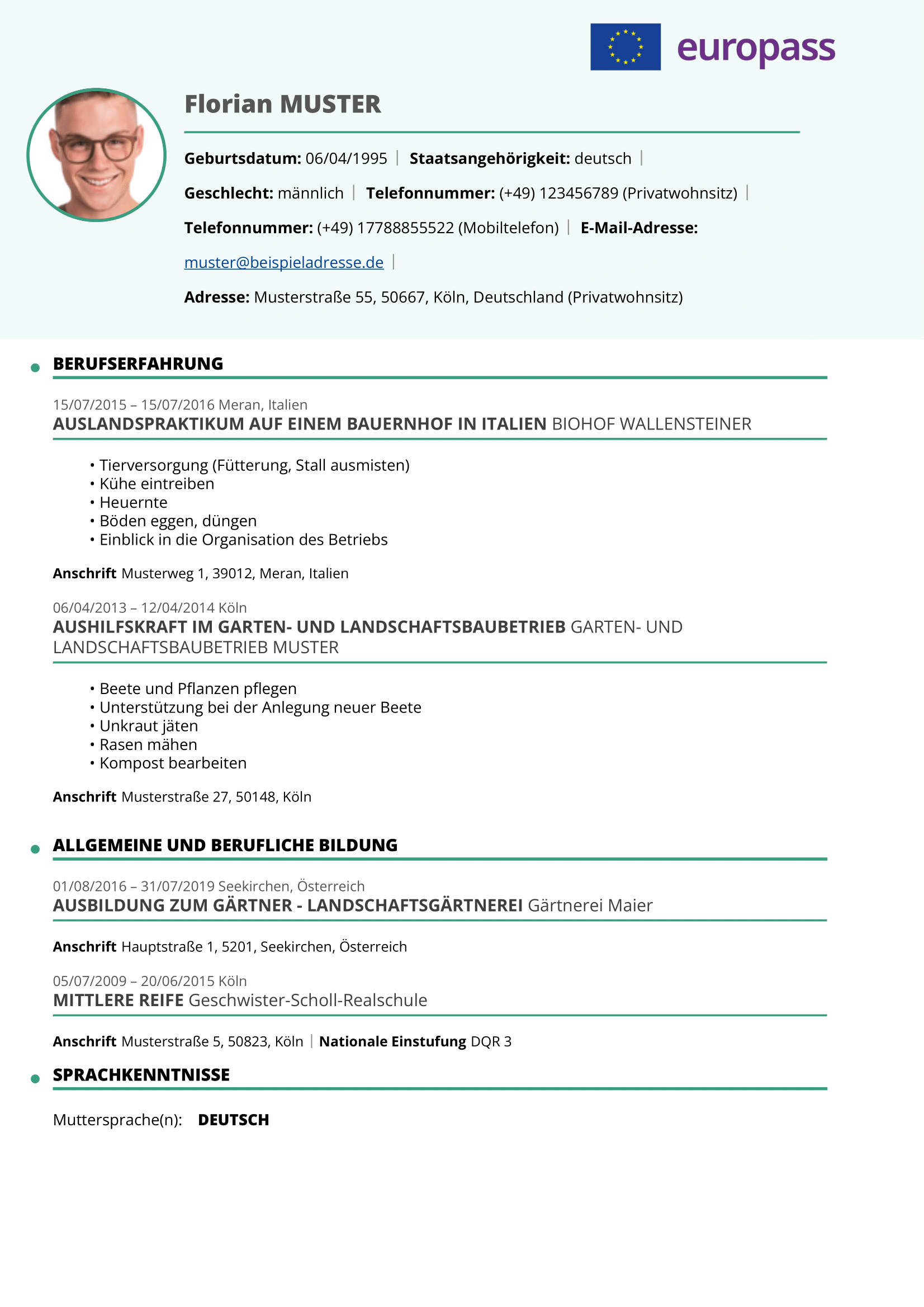 Europass cv 3