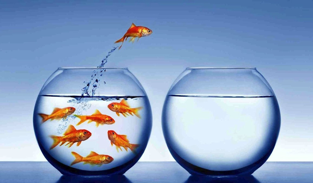 transition image