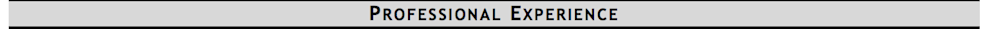 resume header experience