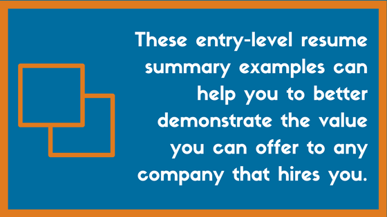 Entry Level Resume Summary Examples 2