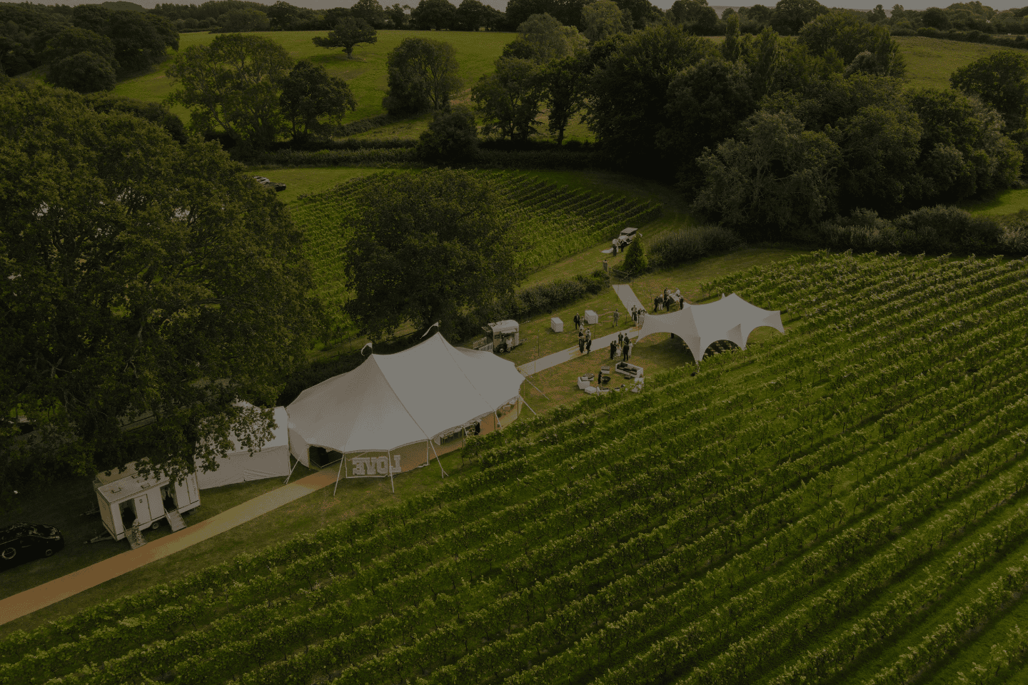 The Wedding Guest package