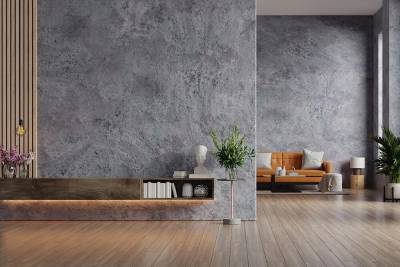 Unleashing the Beauty of Plaster Wall Texture