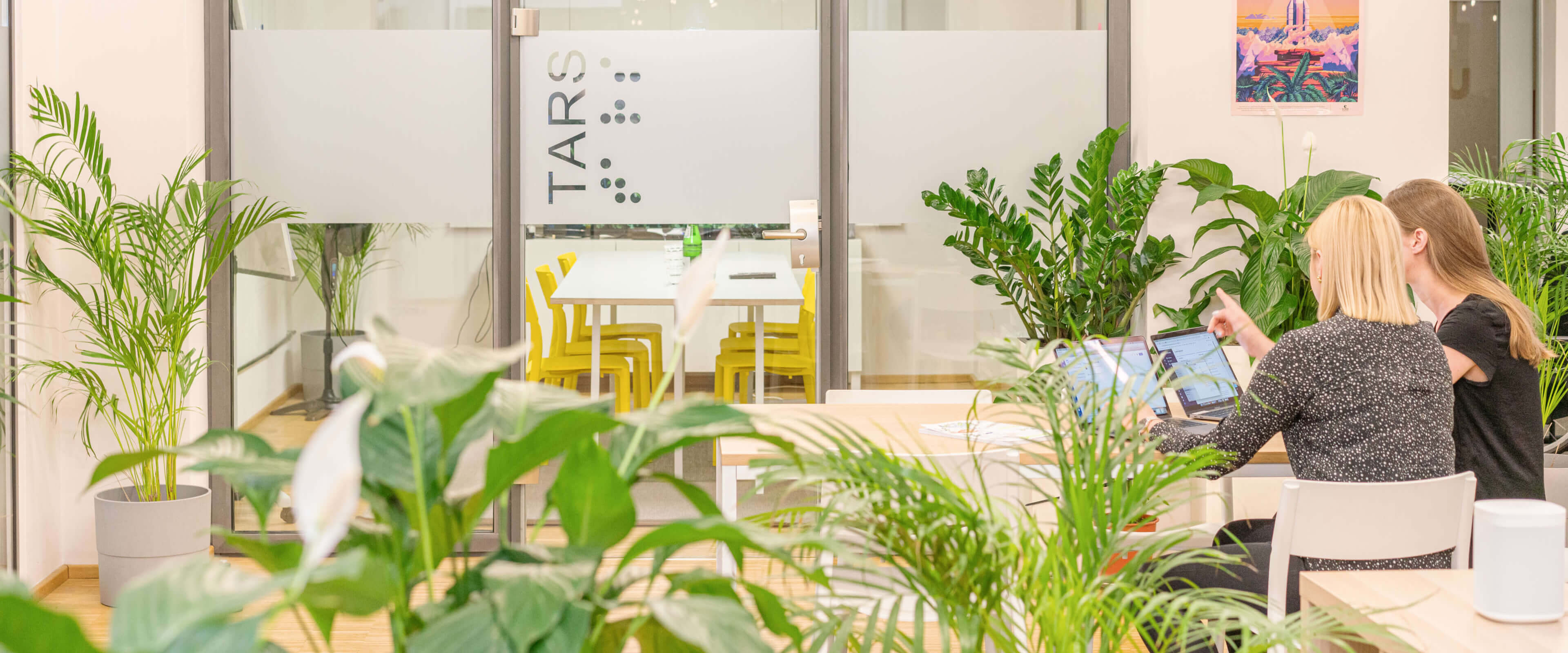 Office space with a lot of plants and two women sitting next to each in front of their computer talking.