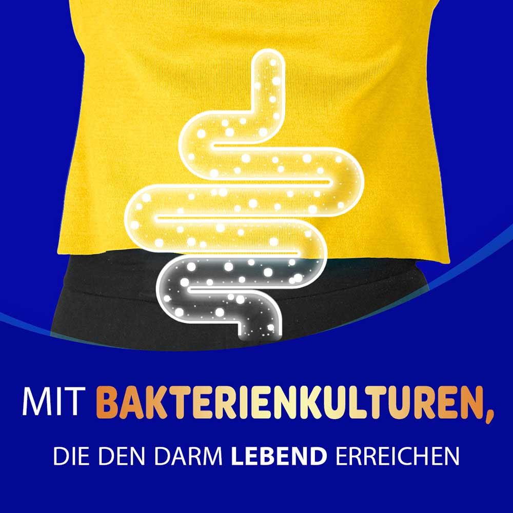Darmillustration mit dem Text „Mit Bakterienkulturen, die den Darm lebend erreichen"