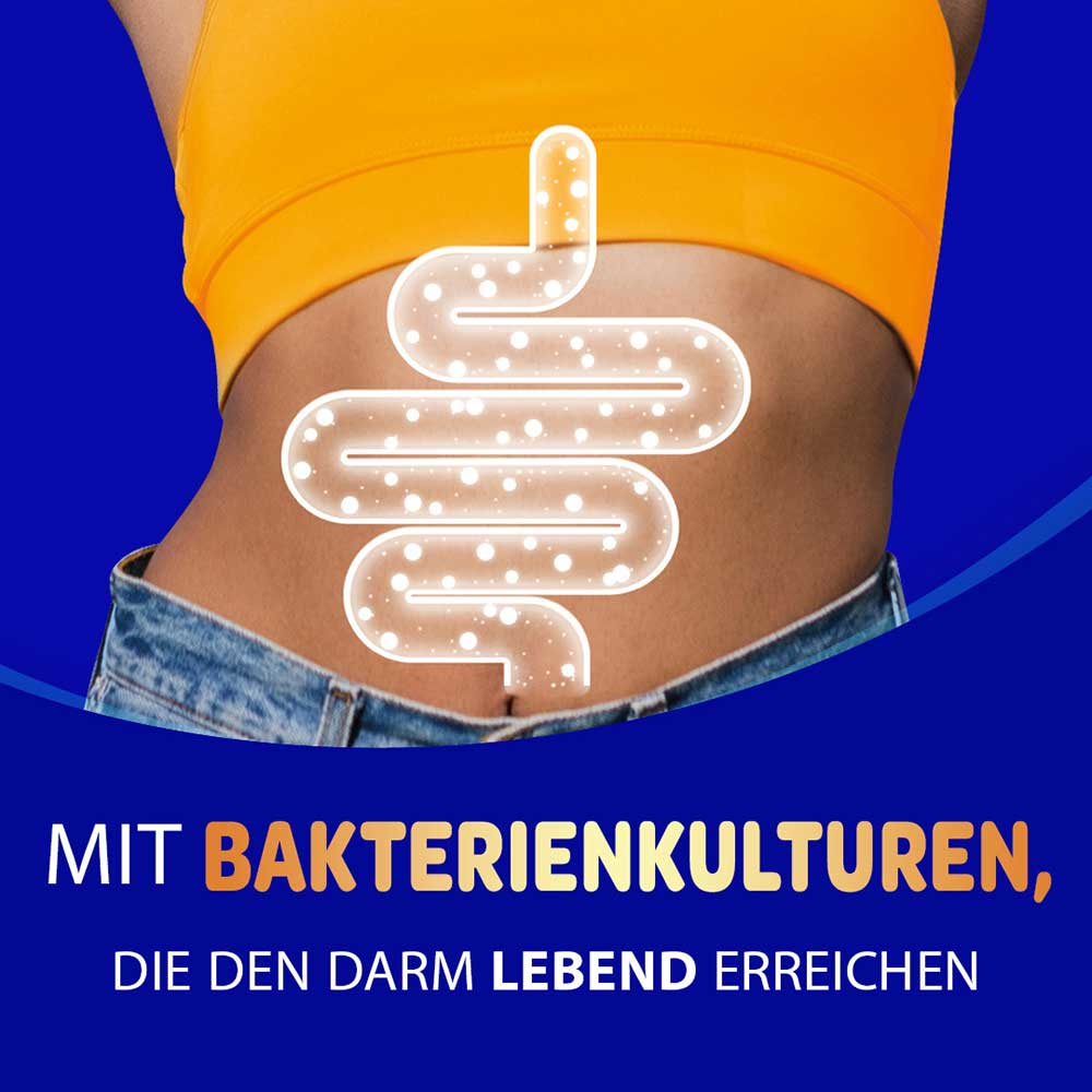 Darmillustration mit dem Text „Mit Bakterienkulturen, die den Darm lebend erreichen"