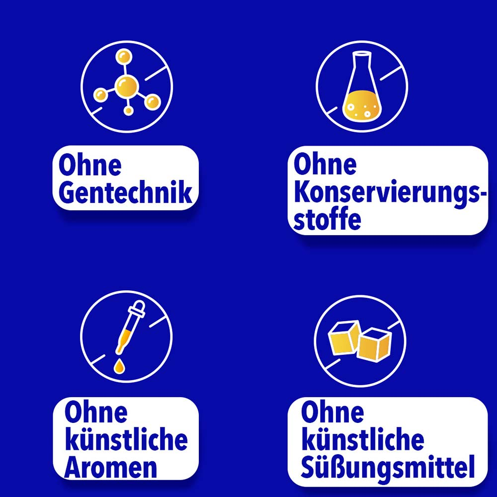 Vier Icons: Ohne Gentechnik, Ohne Konservierungsstoffe, Ohne künstliche Aromen, Ohne künstliche Süßungsmittel