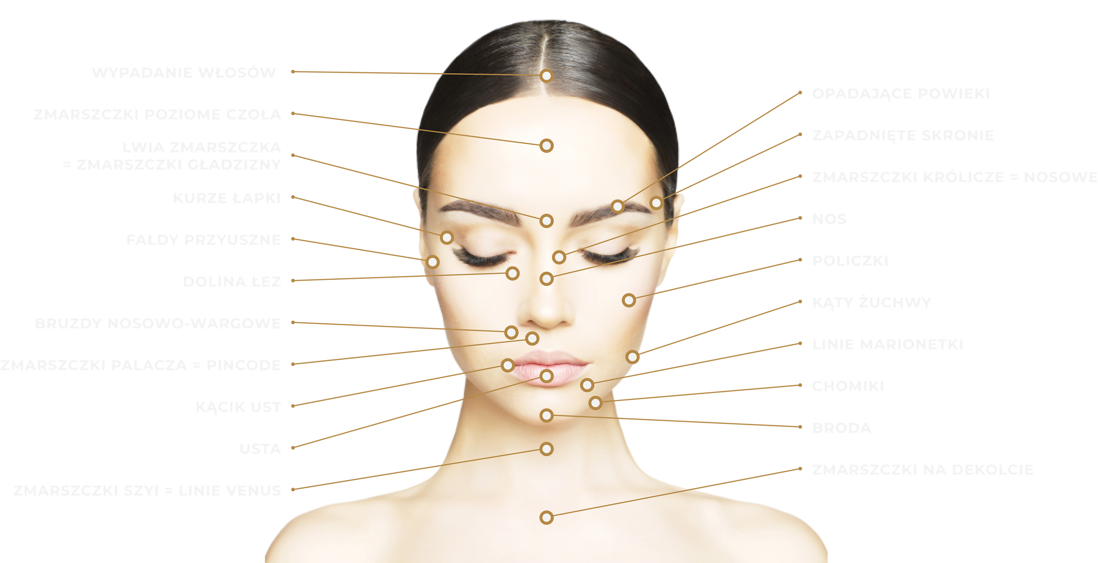 Mapa twarzy - desktop