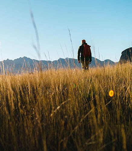 Navigate to First Financial Steps for the Newly Single
